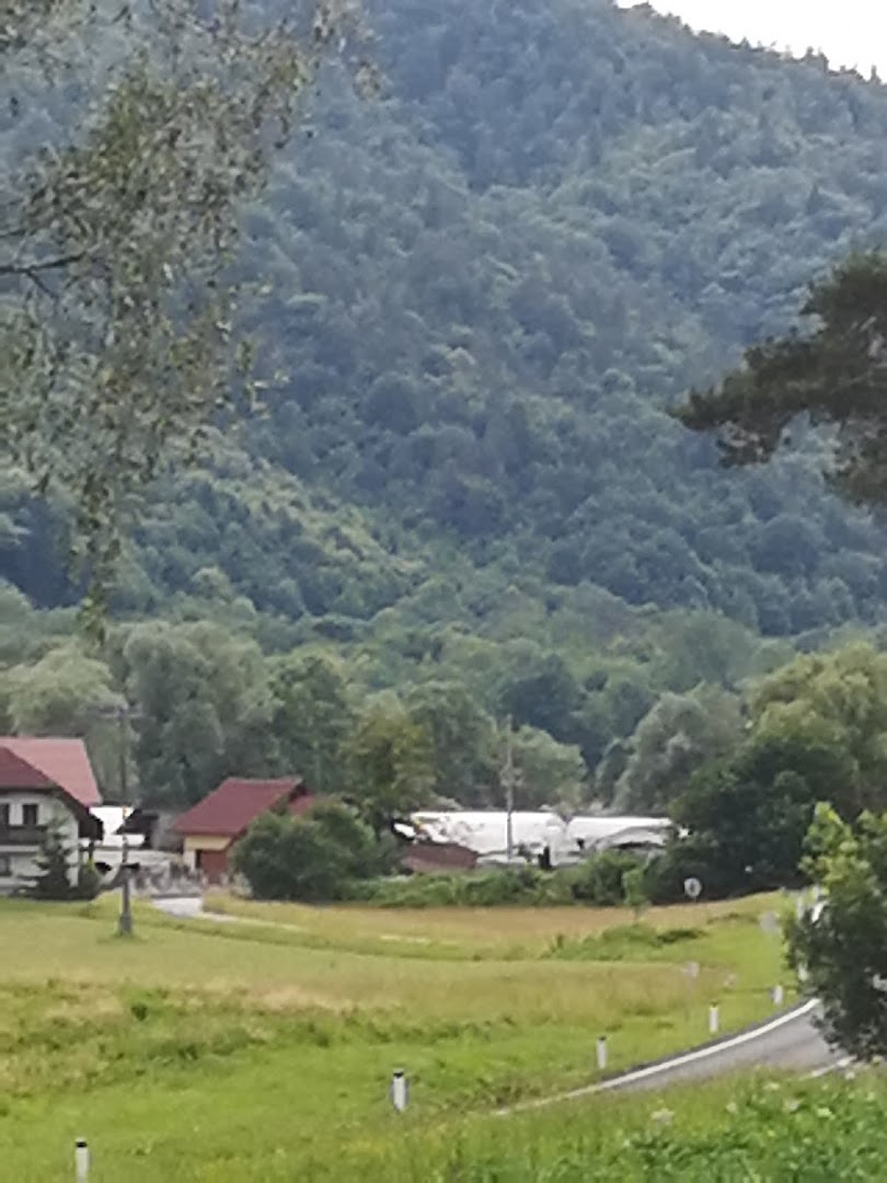 Pridelava in prodaja sadja in zelenjave, Andreja Hilbert s.p.