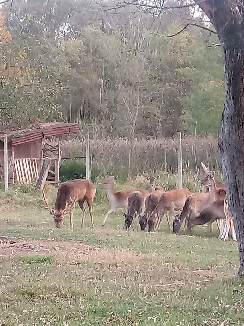Društvo za varstvo okolja Mürski Loug