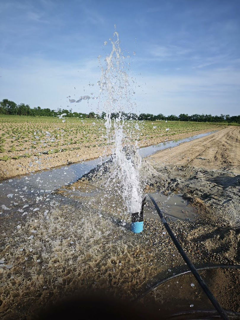 Hidring d.o.o., Junija palmotića 11