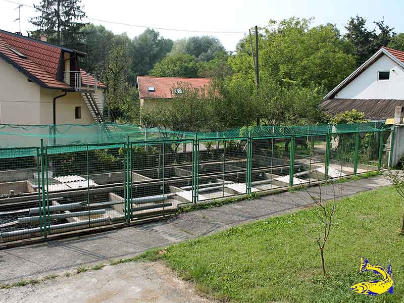 V. I. R. I. B. U. S. Ltd.