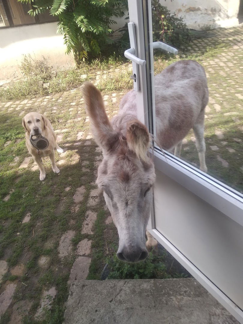 VETERINARSKA STANICA