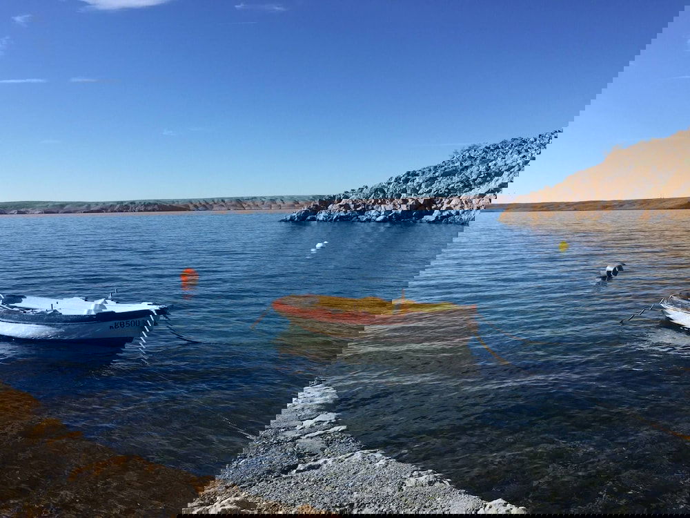 Perfect Apartment in Nature Park