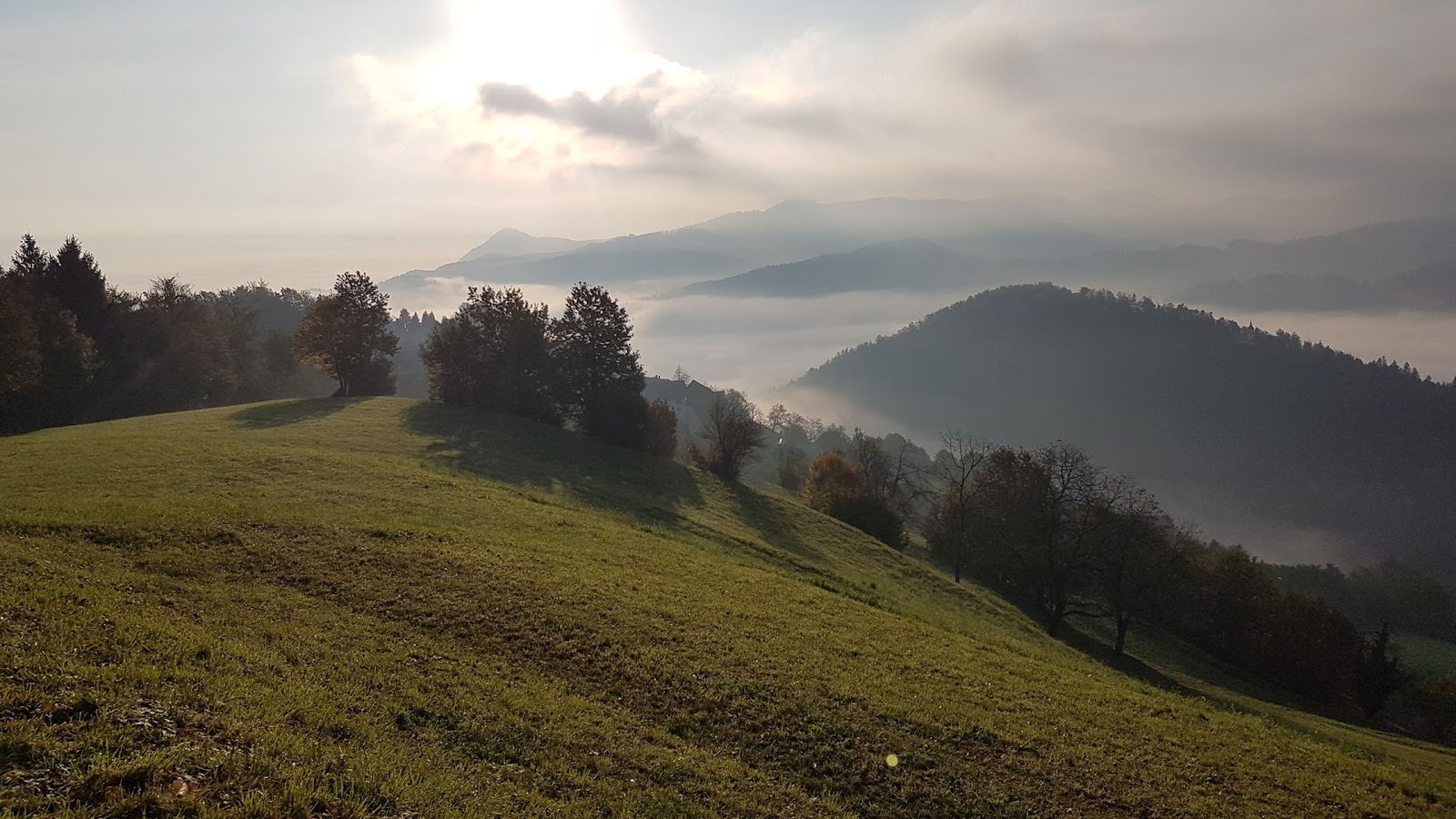 ŽAGA DOLENC, žaganje in predelava lesa ter prevozi, d.o.o.