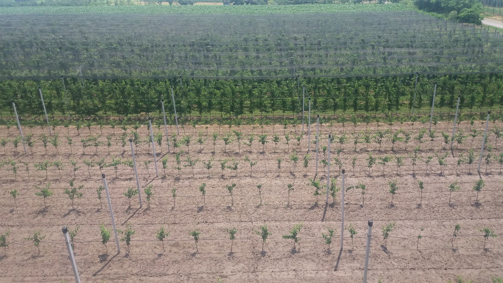 Poljoprivredno gazdinstvo Miroslav Cicović