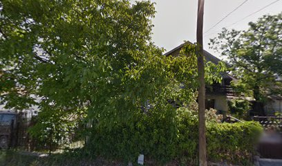 Srđana Kneževića 1