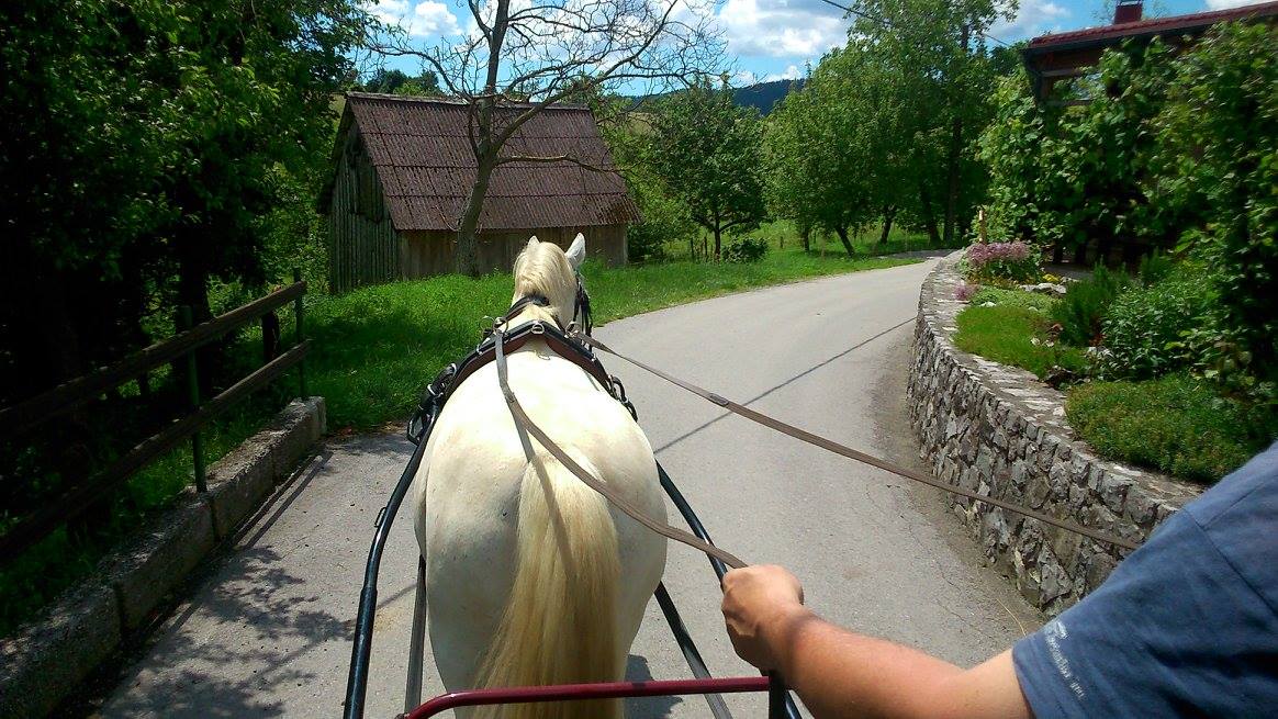 Hera, oskrba živali, Bojan Kreft s.p.