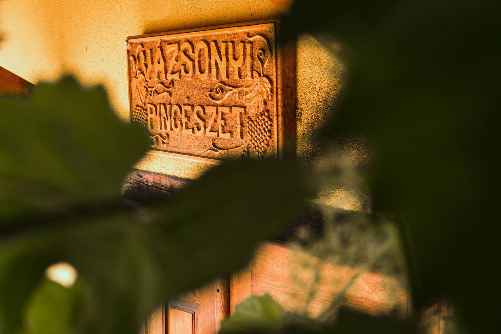 Vázsonyi Pincészet