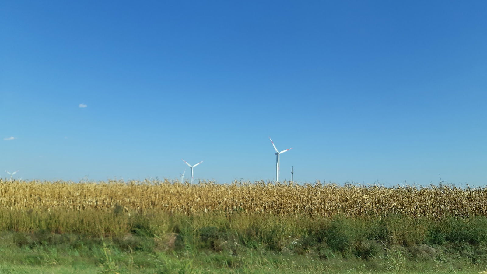 Vetropark Kovacica (Wind Farm Kovacica)