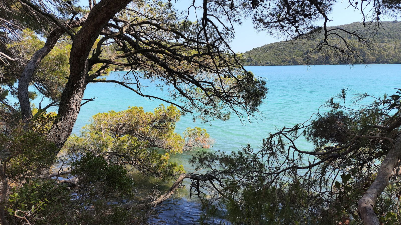 Mljet National Park Malo Jezero great little swim entry point