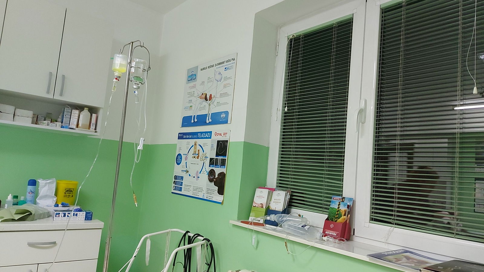 Veterinarska Stanica Petrovac