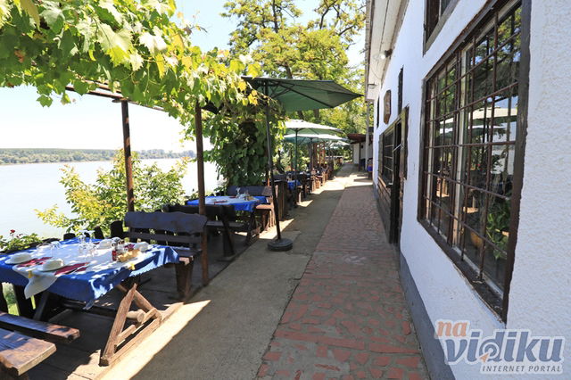 Широка стаза