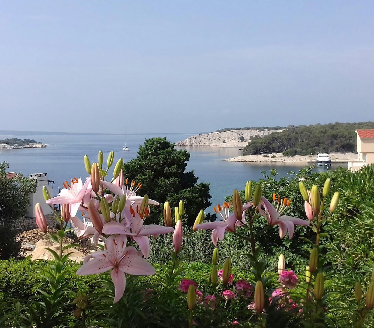 Apartments Zeljka Simuni