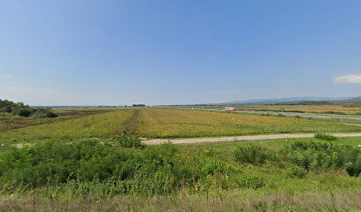 STARČEVIĆ DETAILING