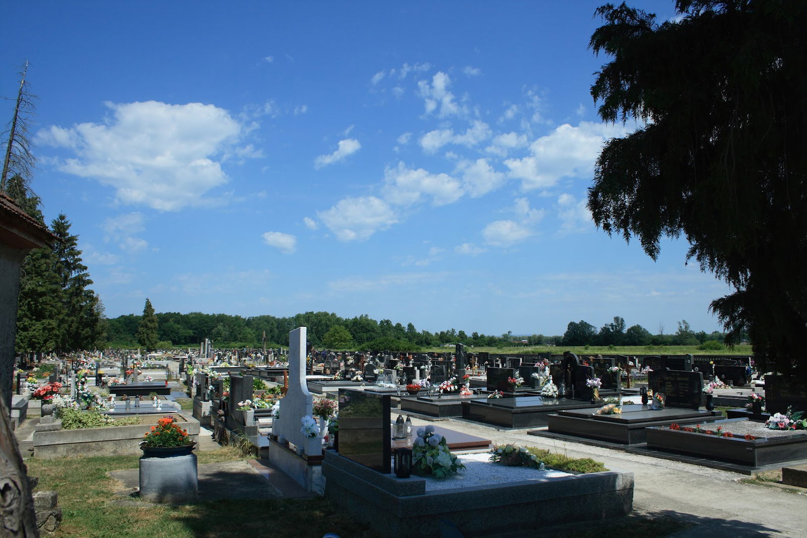 Bukevje cemetery