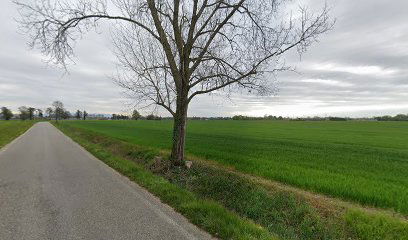 Azienda Acrituristica San Gallo Di Castellano G.