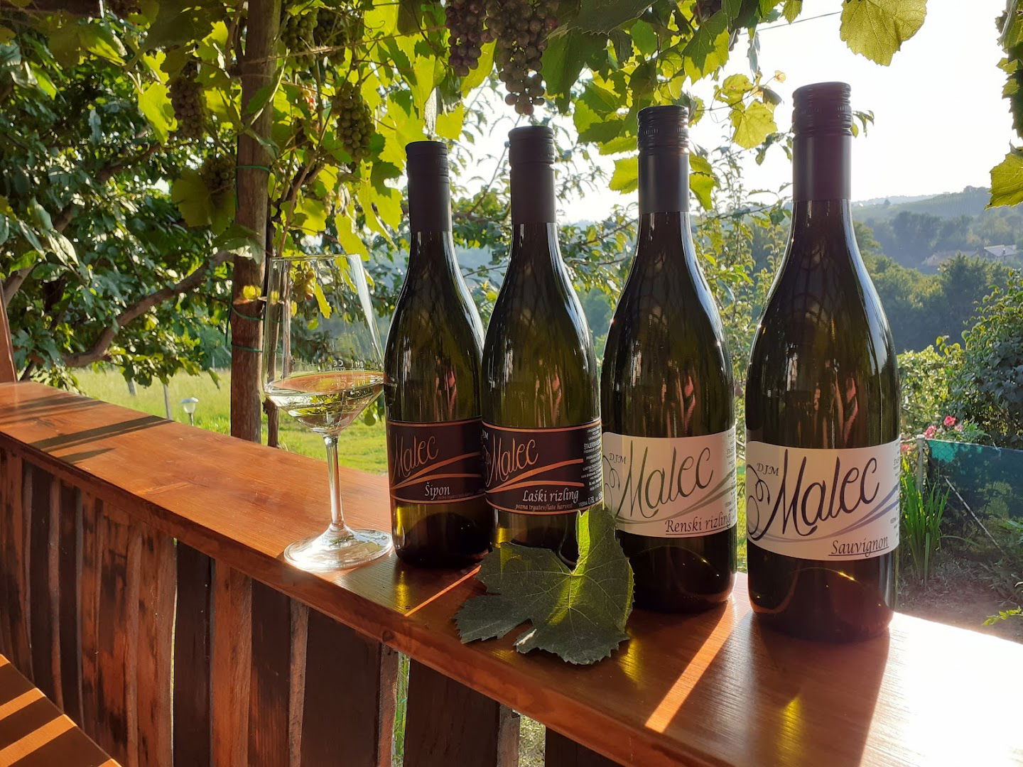 Vinogradnistvo Malec Dejan