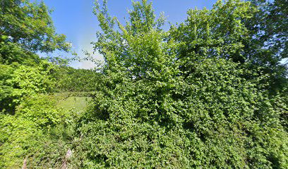 Space Boat Aquacolors Poreč