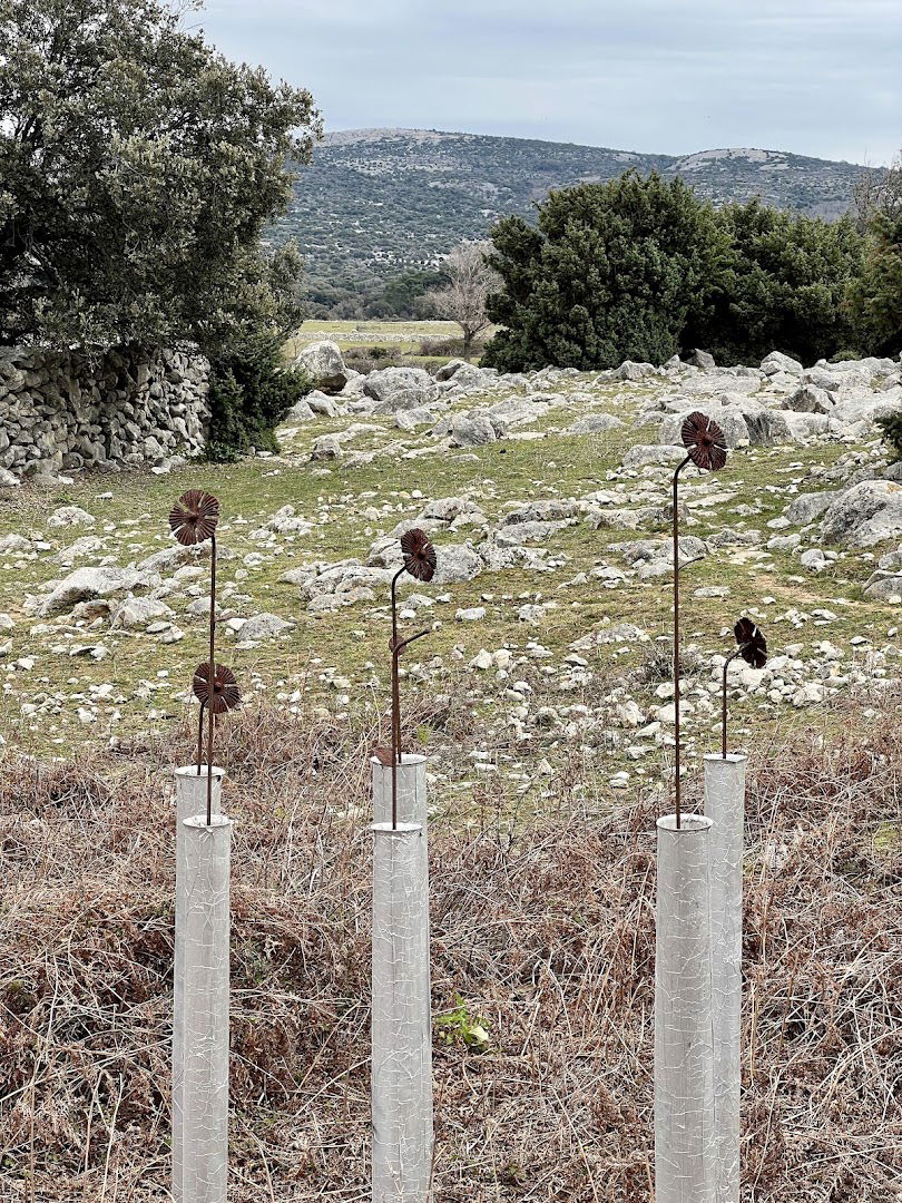 Fruga Art Trail - Survival of the fittest (2) - Tony Sheperd