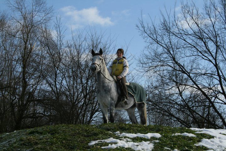 Zavedno delo s konji, Živa Logar s.p.