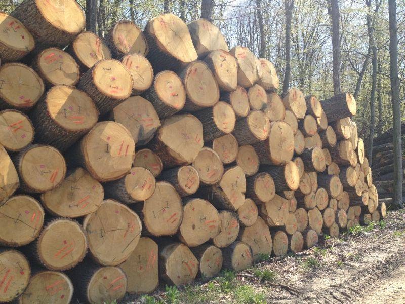 Globalni ocean d.o.o.