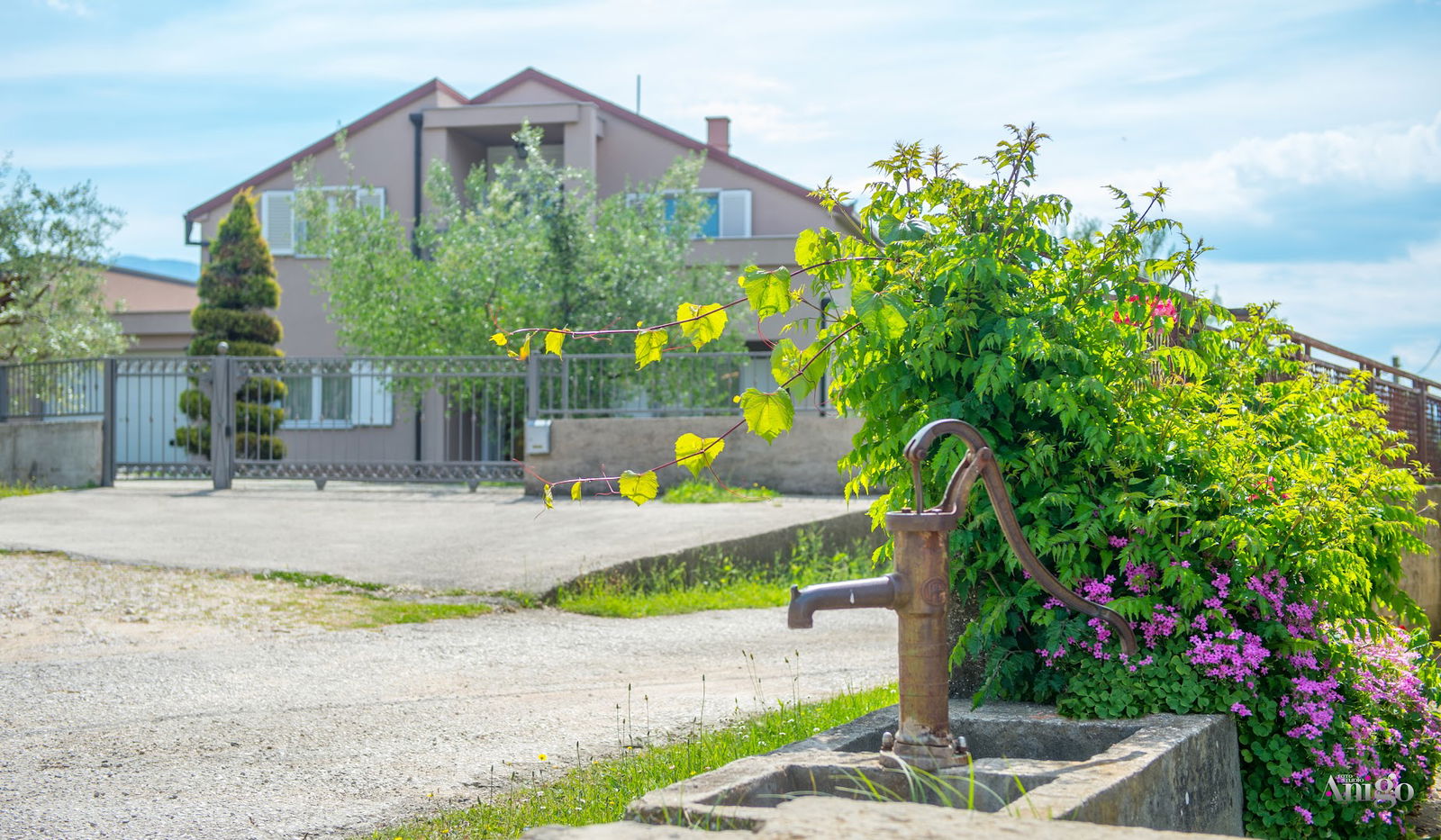 Holiday HomeThe Olive Escape