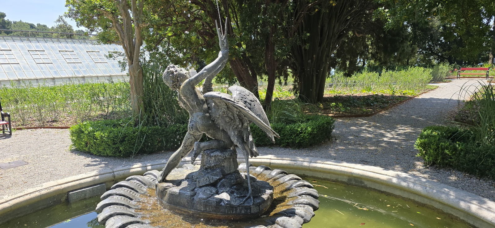 Cipresso di Monterey