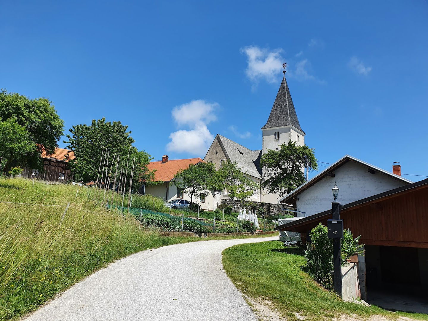 Cerkev sv. Petra in Pavla