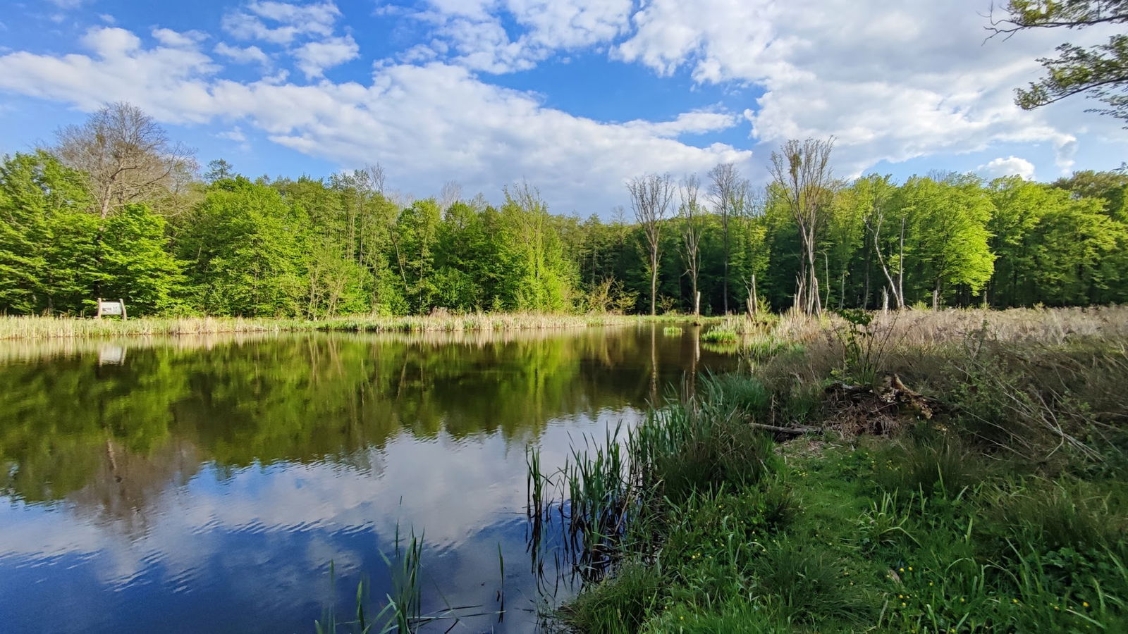 Poučna Staza Marča