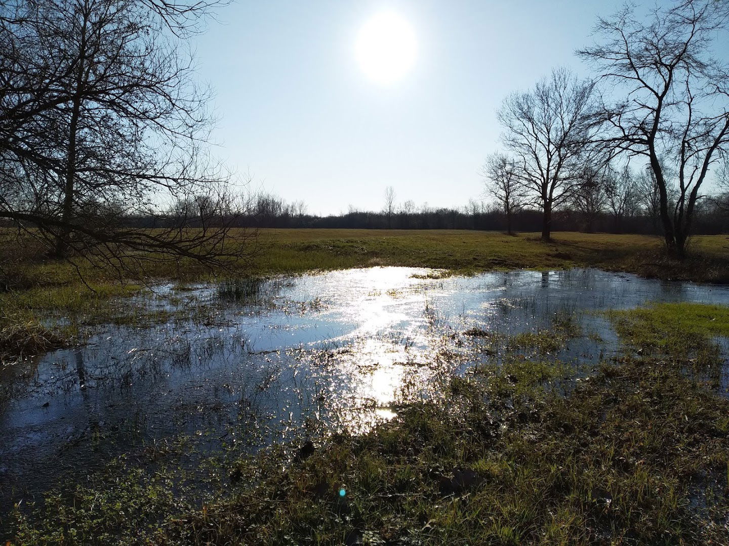 Biotopo Selvuccis e Prat dal Top