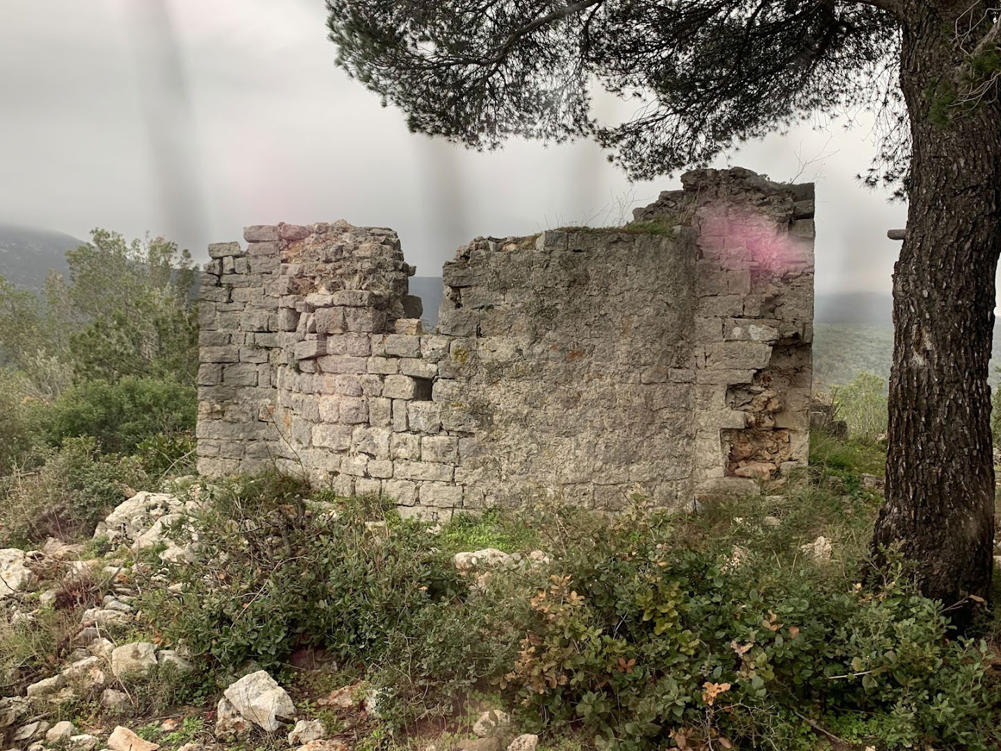 Church of St. Vitus (remains)