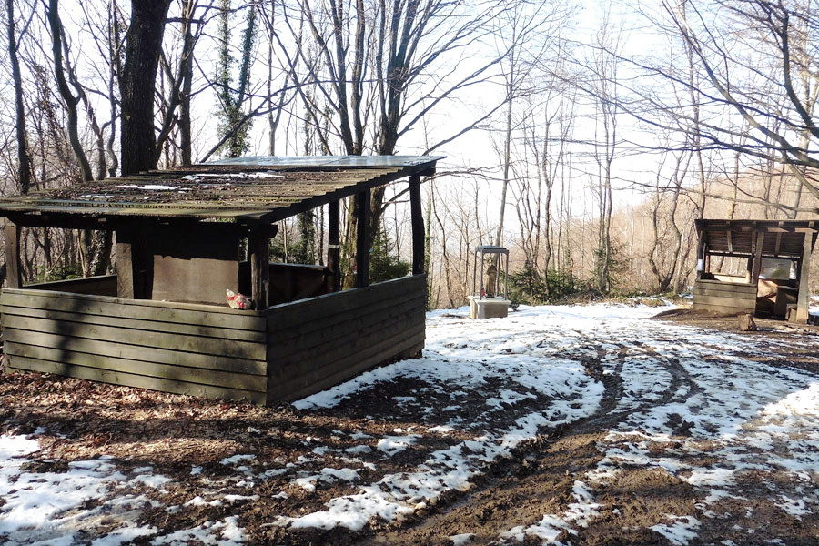 Ročićeva sjenokoša