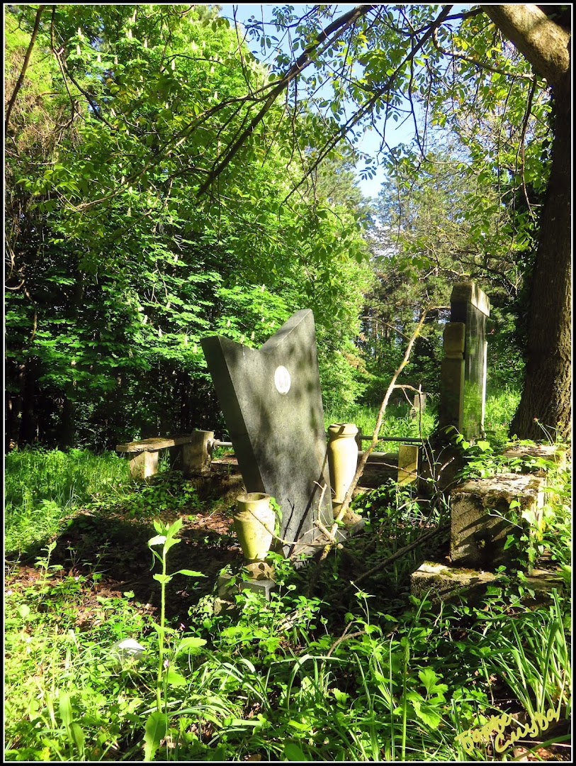 Старо гробље Врдник