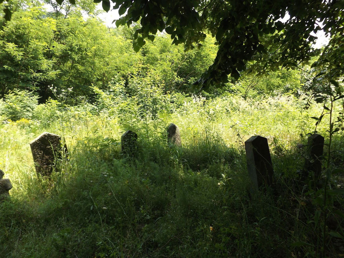 Seosko groblje - Donja Badanja