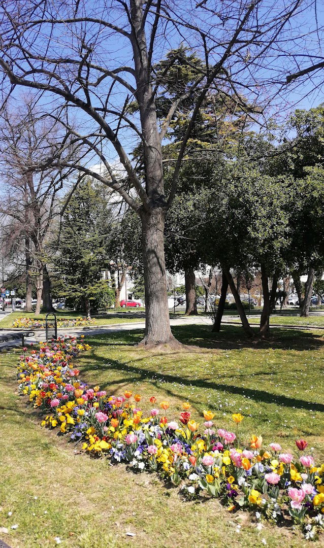 Park Jarula