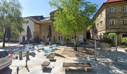 Gibalna Klinika, celovita kineziološka obravnava in svetovanje, Gregor Mišič, s.p. (kinesiology and exercise treatment)