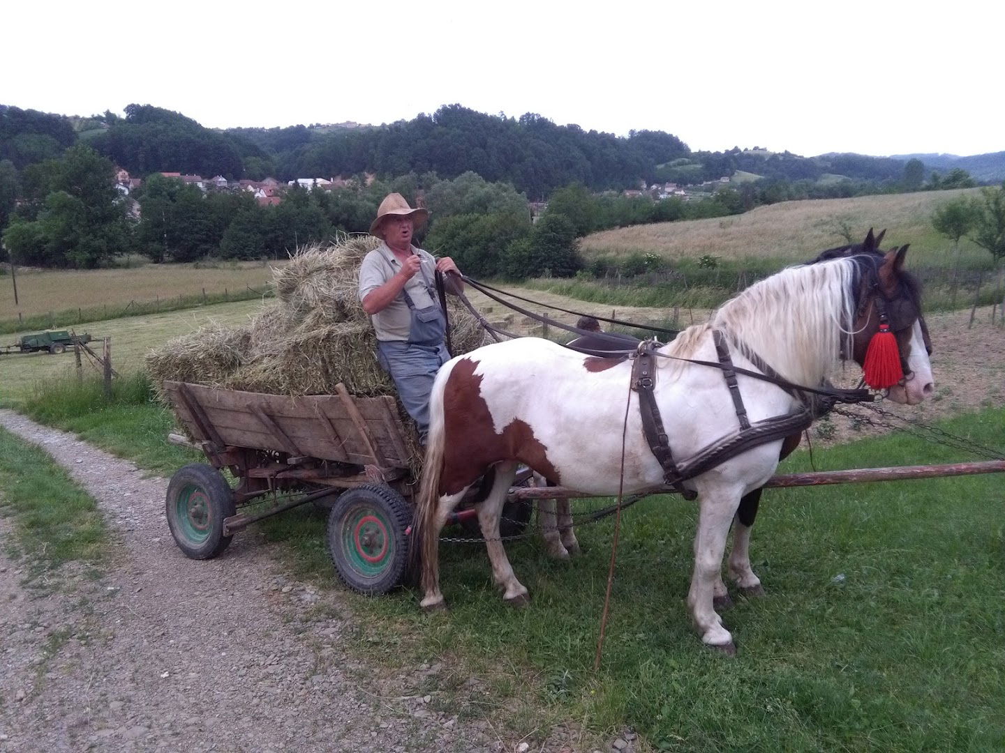 Benzinska Pumpa Gasko