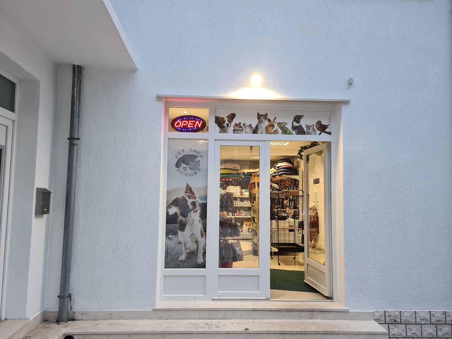 Pet shop Scooby