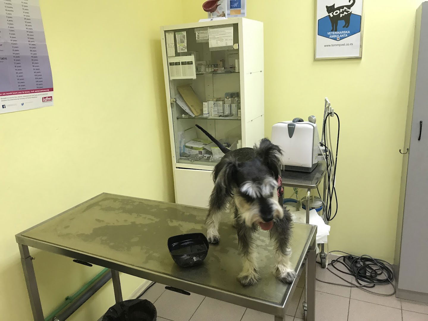 VETERINARSKA AMBULANTA TOMMY