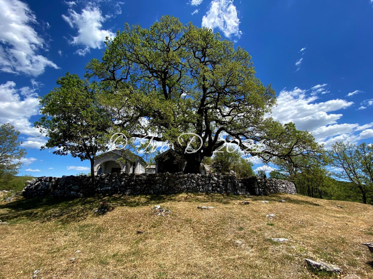 Groblje Crkvina Klobuk