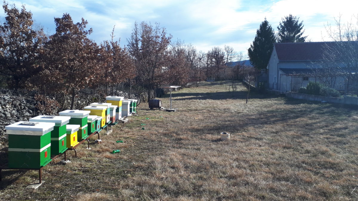 Pčelarstvo Marko Šundov