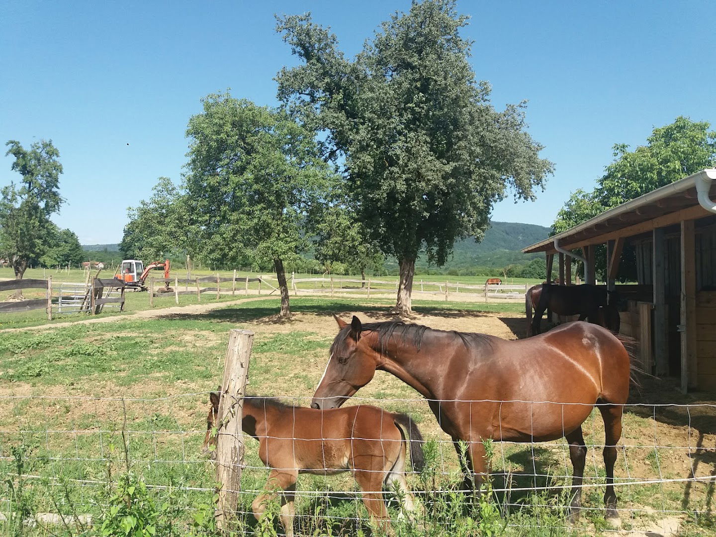 Kasački Klub Diamant