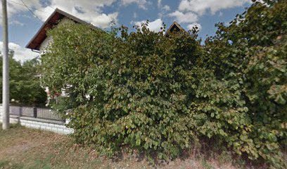 TAXI 1010 VL. DUŠKO SMILJANIĆ