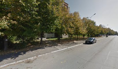 Vuka Karadžića (ulaz)