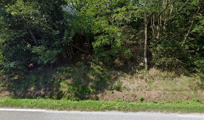 Old cemetery Orljavac