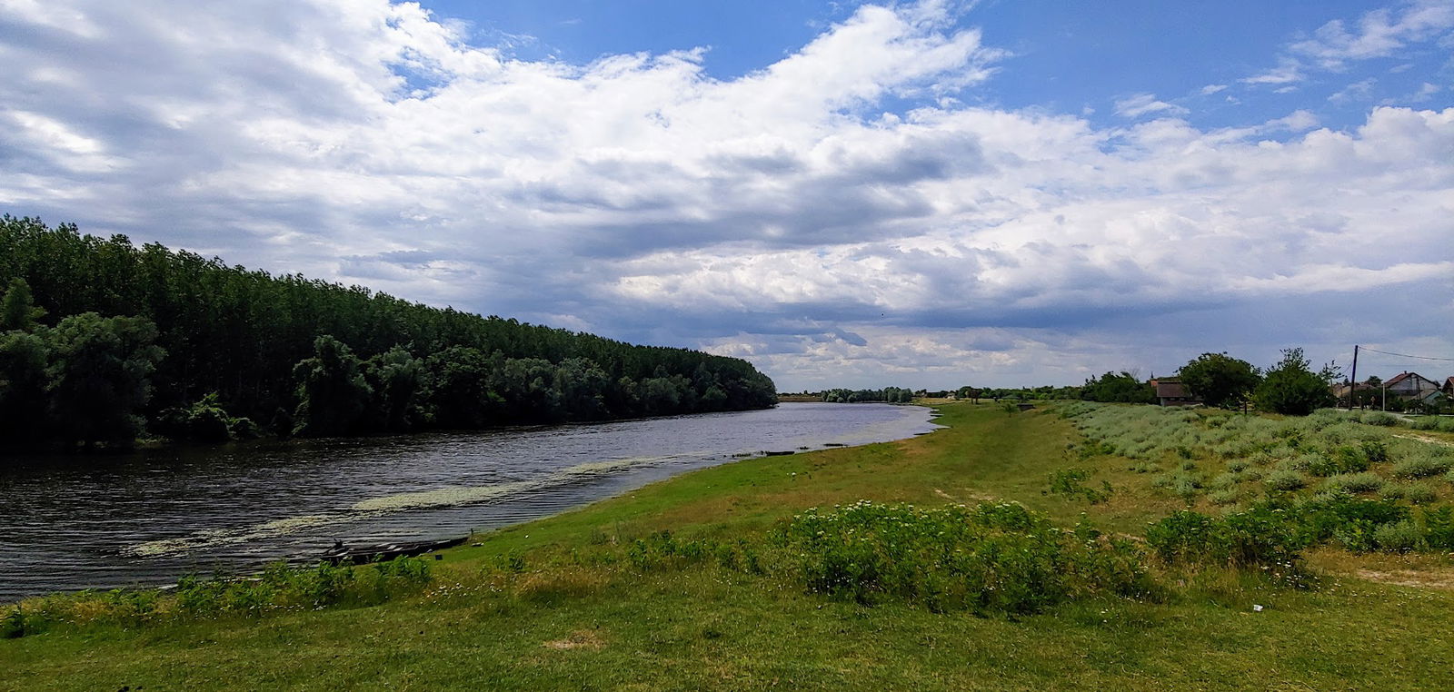 Гардиновачки дунавац
