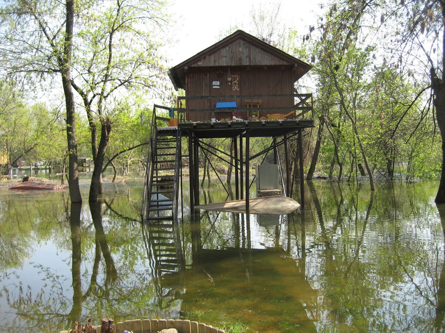 Vesnina i Vladina sojenica