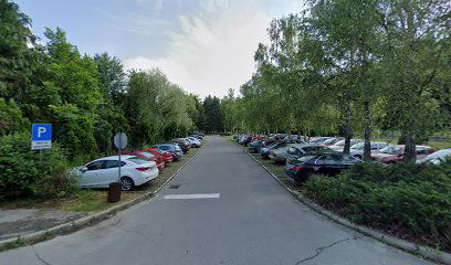 Parking Daruvarske toplice