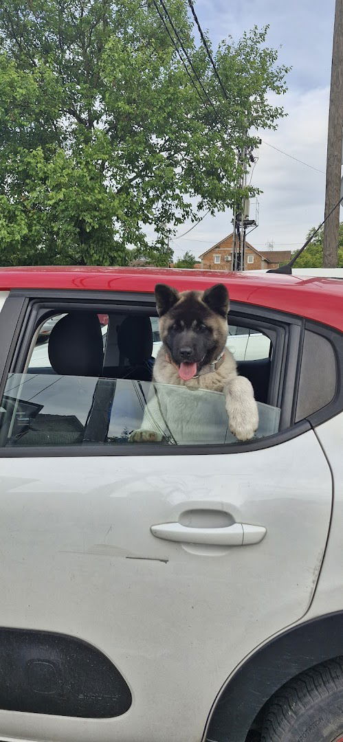 Veterinarska ambulanta ,,Kaluđerica,,