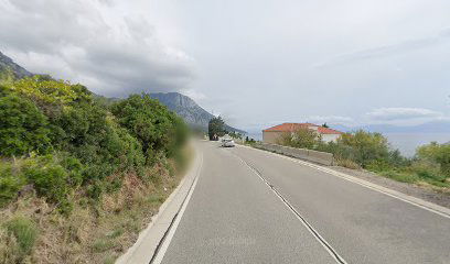 Оливковая роща