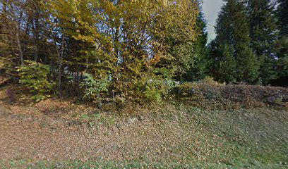 Donja Pištana cemetery